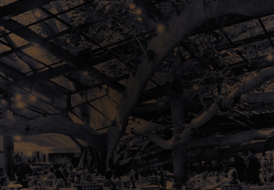 Conferência E-Commerce Brasil – Grocery & Drinks